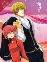 gintama-doujinshi-shiritai-keredo.jpg