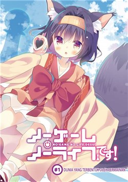 no-game-no-life-desu.jpg