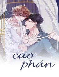 cao-phan.jpg