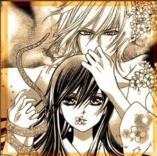 ginrou-no-sakura.jpg