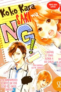 koko-kara-saki-wa-ng.jpg
