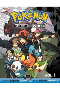 pokemon-blackwhite.jpg