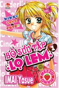 bo-suu-tap-lo-lem.jpg